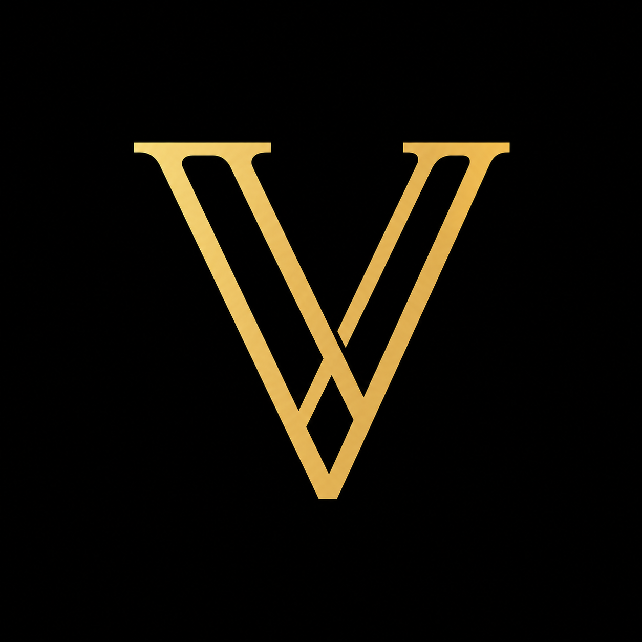 Vamula Partners GmbH logo